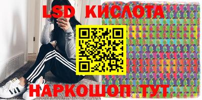 apvp Краснодар