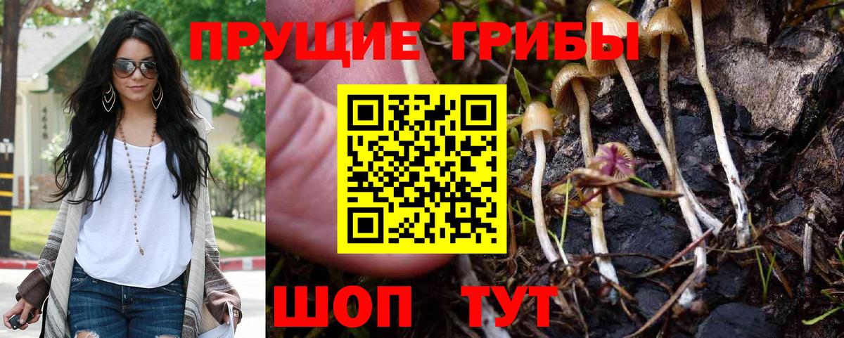 Галлюциногенные грибы GOLDEN TEACHER  Галлюциногенные грибы мицелий  Вход с VPN  Кузнецк 